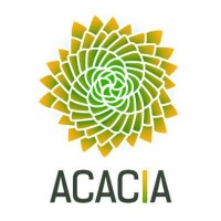 Acacia
